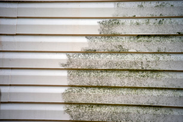 Affordable Siding Repair and Maintenance Services in River Grove, IL